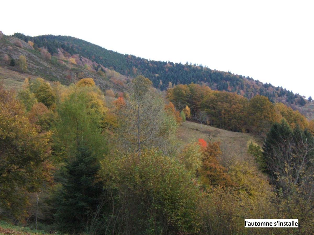 Le Chalet Bel Air Oderen Екстер'єр фото
